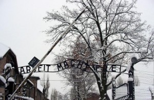 Auschwitz-Work